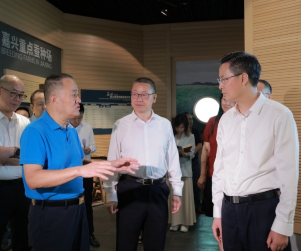 ��ΰ���ݰ�ٵ�����ʷ�����ҵ���ʷ�չ����